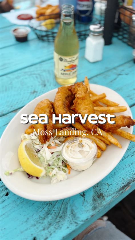 Sea Harvest Moss Landing (@seaharvestmosslanding) • Instagram photos ...