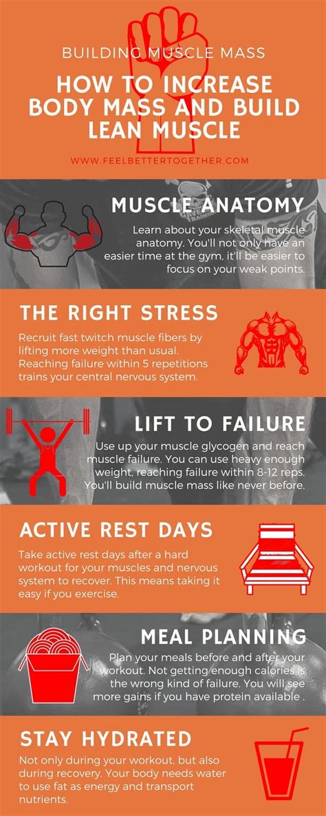 Image result for How We Build Muscle