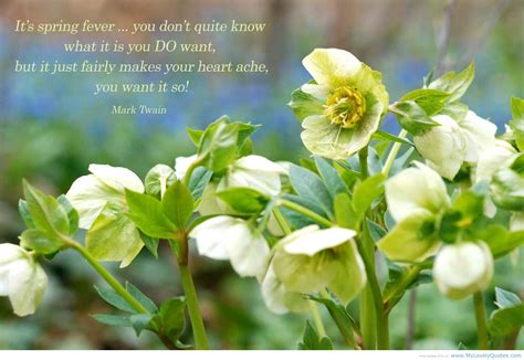Image result for Springtime Quotes