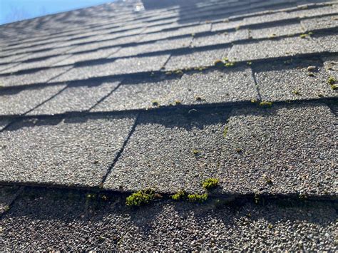 How To Clean Moss Off the Roof | Family Handyman