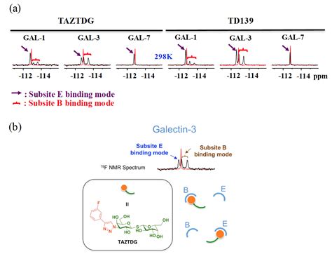 Dissecting the Structure–Activity Relationship of Galectin–Ligand ...