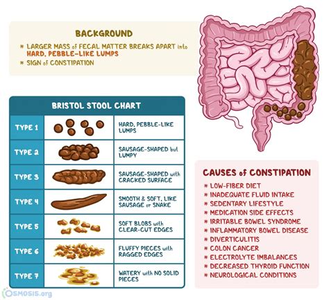 Narrow Bowel Movements Healthy Bowel Habits For Children | Caring For