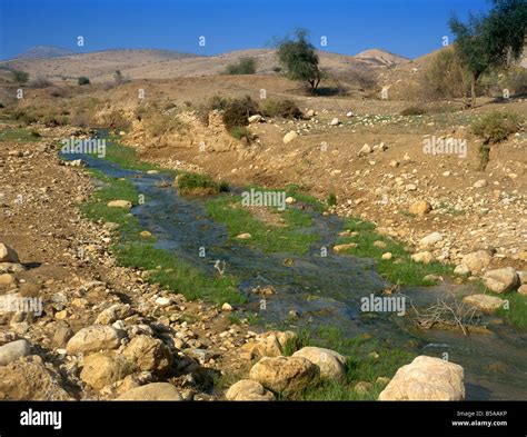 Streams Of Water In The Desert