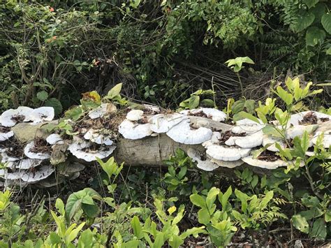 Image result for LDAP in Python