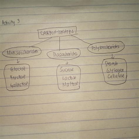 fill in the graphic organizer choose your answer from the box below ...