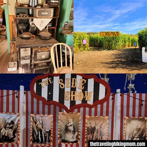 Things To Do In Fall In Union Gap, WA - The Traveling Hiking Mom