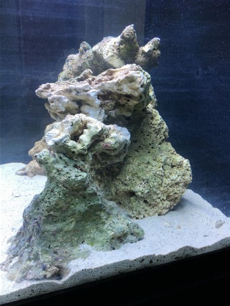 Image result for BioCube Filter Setup