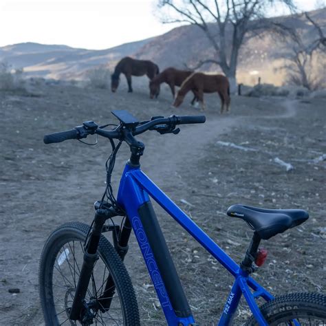 Carson City Bike Shop (@carson_city_bike_shop) • Instagram photos and ...