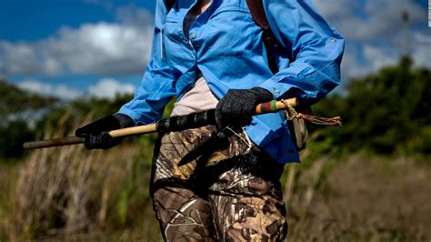 Image result for Florida Snake Hunt Python