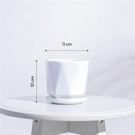 Diamond Ceramic Pot – Ugaoo