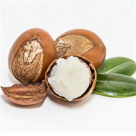 Body Moisturizing Lotion - Rose - 200 ml by Shat Pratishat