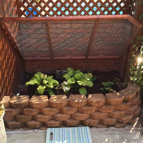 Image result for Box Turtle Homes