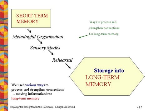 Image result for Forgetting Curve Graph