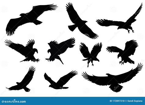 Eagle Silhouette, Flying Bird Silhouette Stock Vector - Illustration of nature, positions: 172897318