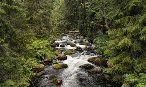 Dalarna County Tourism (2021): Best of Dalarna County, Sweden - Tripadvisor