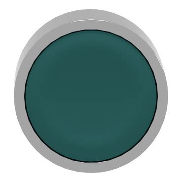 ZB2BA3C - Ø22 mm pushbutton head - metal - unmarked | Schneider ...