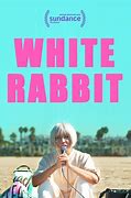 Image result for Wild Rabbit White Background