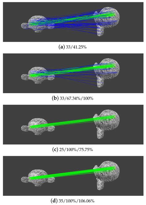 CAISOV: Collinear Affine Invariance and Scale-Orientation Voting for ...