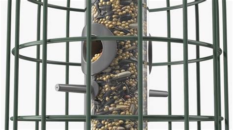 Caged Bird Feeder with Seeds 3D Model $39 - .obj .lxo .ma .max .fbx ...