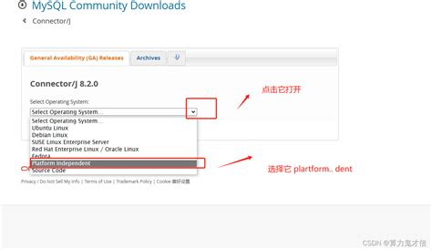MySQL Connector/J Tutorial 的图像结果
