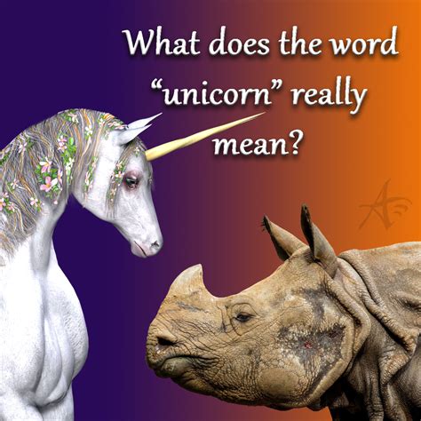 Descriptive Words For A Unicorn at Lewis Bonnett blog