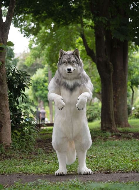 Furries Costumes Wolf