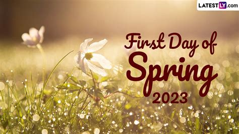 Image result for When It Spring