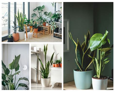 Bold & Rooted : Women Redefining Success, 971 Lehigh Ave, Union, 28 ...