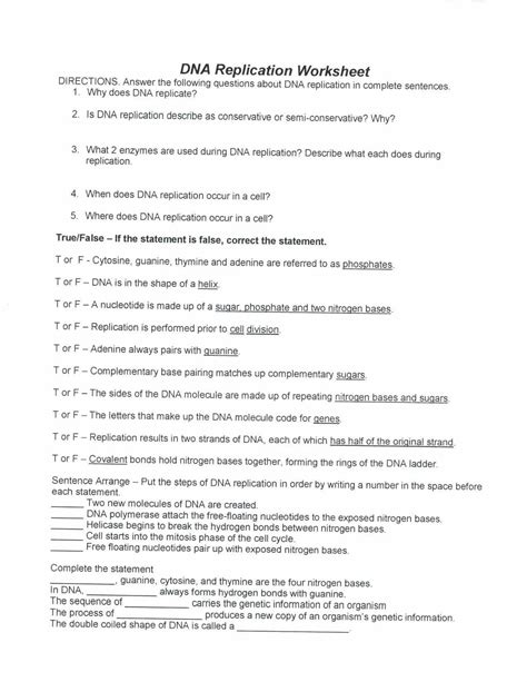 Image result for DNA Replication Worksheet Answer Key