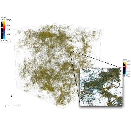 Computer Animation Turbulence 的图像结果