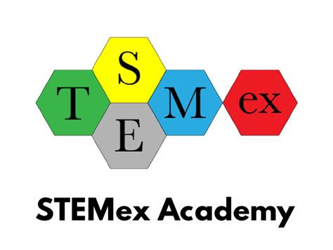 Micro Bit Module 的图像结果