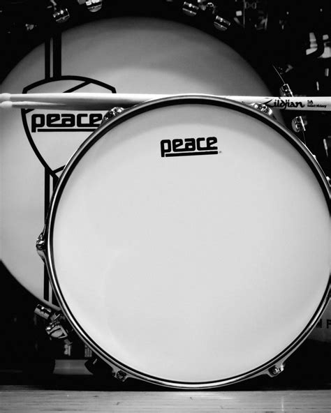 Image result for Instrumental