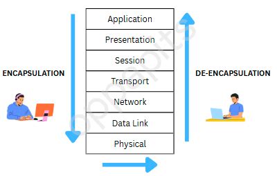 Image result for OSI and TCP Model Explained