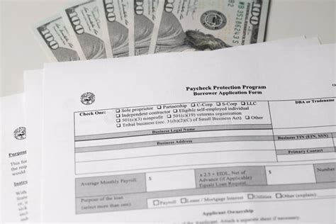 Paycheck Protection Program Borrower Application Form 的图像结果