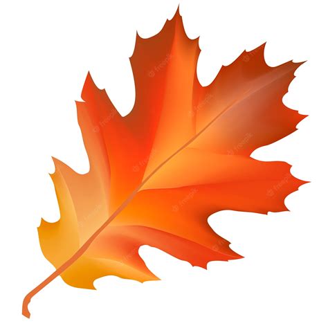Autumn Leaves: Cliparts, Coloring Pages, Crafts, and More!