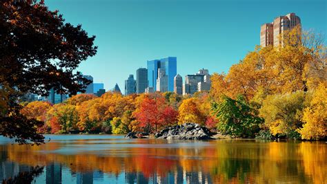 Central Park autumn and buildings reflection in midtown, Manhattan, New ...