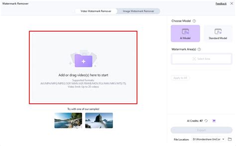 Remove People from Video Effortlessly - Professional Editing Guide