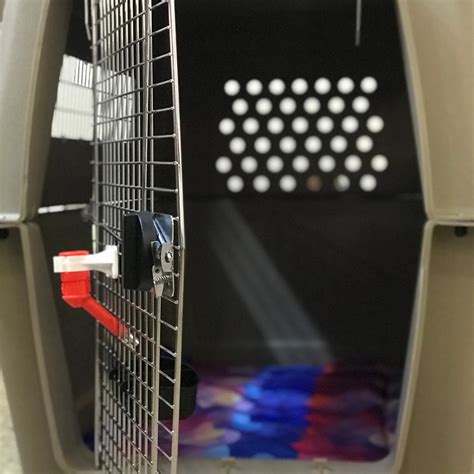 IATA compliant Petmate Ultra Vari kennel Sky Kennel Crates – Anvis Inc.
