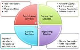 The Millennium Ecosystem Assessment describes the following major ...
