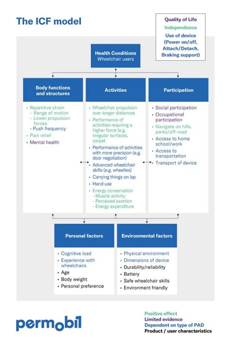 Image result for ICF Model Chart
