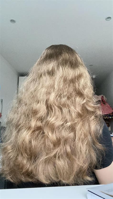 How to control frizzy hair without only brushing when wet : r/Hair
