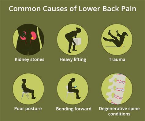 Image result for Common Lower Back Muscle Pain