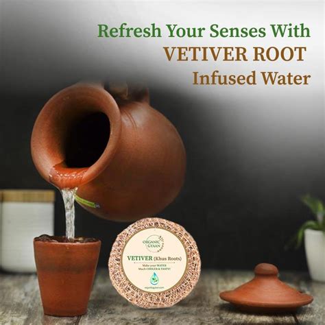 Buy Best Vetiver (Khus) Root Online – Organic Gyaan