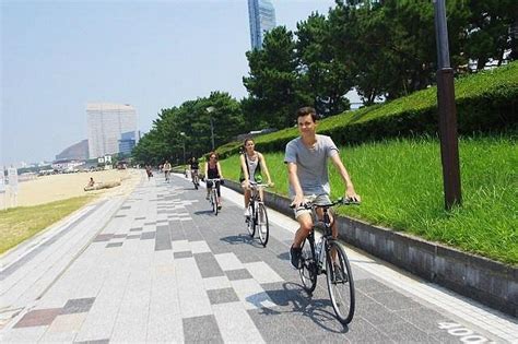 FUKUOKA BIKE TOUR (2025) All You Need to Know BEFORE You Go (with ...