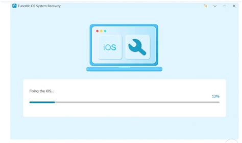 Image result for iOS Boot Error Screen