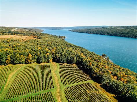 25 Reasons to Love and Visit | Finger Lakes Wine Country