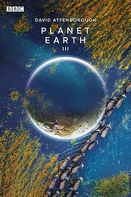 《BBC》地球脉动第2季VR版第1集：岛屿