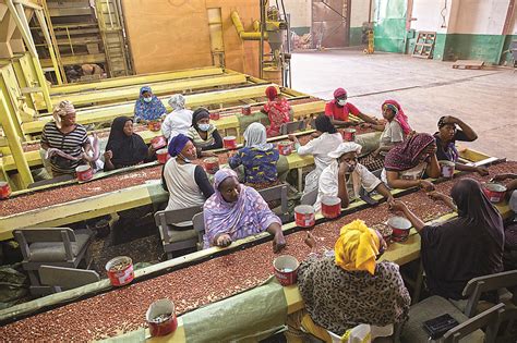 Is the Sky the Limit for The Gambia's Groundnuts? | AramcoWorld