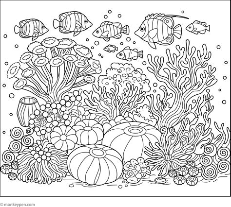 Coral Reef Coloring Pages Kids