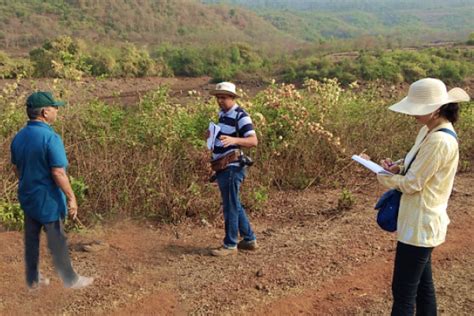 Services | Consultancy Services | Aditya Environmental Services Pvt. Ltd.